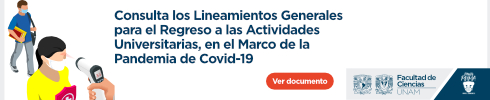 Lineamientos UNAM Regreso Actividades
